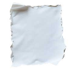 Fototapeta premium Blank torn edge paper texture with rough edges on transparent or white background.