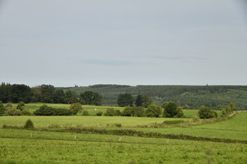 Obraz premium Paysage rural entre prairies et collines boisées à Bra (Lierneux) 