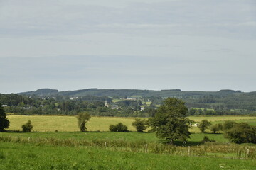 Paysage rural entre prairies et collines bois&eacute;es &agrave; Bra (Lierneux) 