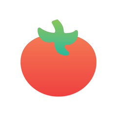 Tomato Vector icon