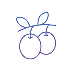 Olive Oil Vector icon