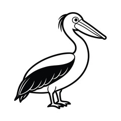 illustration of a pelican