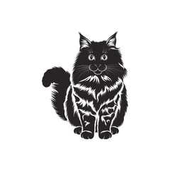  black cat on white background,  star cat photo vector jpg, Logo, icon design, photo, wallpaper, theme. dog,