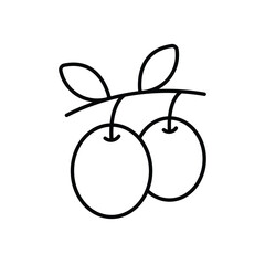 Olive Oil Vector icon