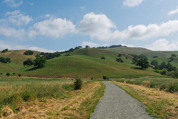 A gravel path winds through green rolling hills at Coyote Lake - Harvey Bear Ranch County Park, with scattered oak trees and a bright blue sky filled with soft clouds