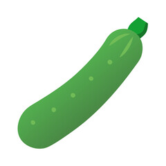 Fresh Green Zucchini Vegetable Isolated on Black Background