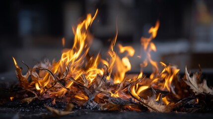 burning autumn leaves in a fire pit at night