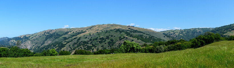 Obraz premium Scenic panoramic view of rolling green hills and lush meadows at Coyote Lake - Harvey Bear Ranch County Park