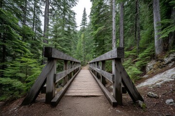 Wooden Bridge in Evergreen Forest - Serene wooden bridge leading into a lush evergreen forest. Perfect for nature, travel, and adventure themes