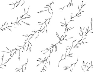 Elegant pattern of black hand-drawn leafy branches on a clean white background, creating a minimal and natural botanical concept. Vector illustration