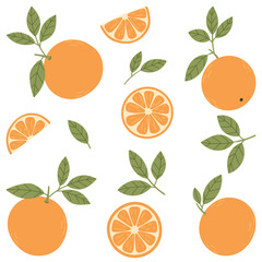 Oranges vector set. Various hand drawn oranges in simple flat style.