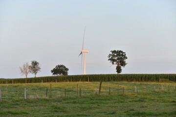 Éolienne en fin de journée à Ghislenghien (Ath)