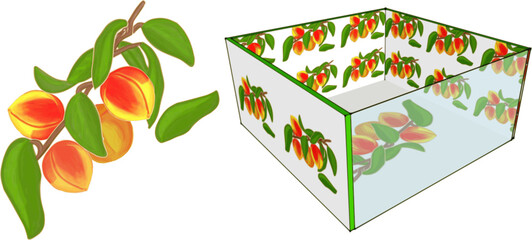 3D box with apricots, volumetric color drawing, on a transparent background