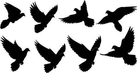 Obraz premium Silhouettes of flying pigeons on white background. Vector illustration. 