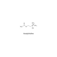 Acetylcholine skeletal structure. Endogenous neurotransmitter (Cholinergic agonist) compound schematic illustration. Simple diagram, chemical formula.