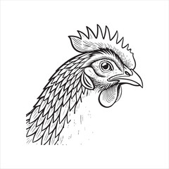 Chicken Vector