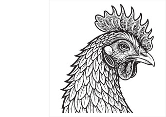 Chicken Vector