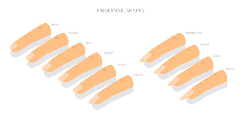 3D Isometric Flat  Set of Different Shapes of Fingernails, Iinds of Nails