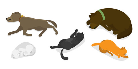 Fototapeta premium 3D Isometric Flat Illustration of Sleeping Pets, Adorable Sleeping Pets Collection Featuring Cats And Dogs