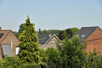 Arbres entre les toits au village de Ghislenghien (Ath)