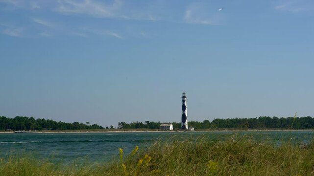 Gulls fly over the diamond patterned lighthouse of Cape Lookout, North Carolina, with a yellow flower foreground with seagulls flying overhead, as seen from Shackleford Banks.