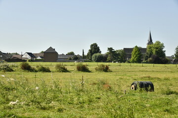 Prairie sous un ciel bleu à Ghislenghien (Ath)