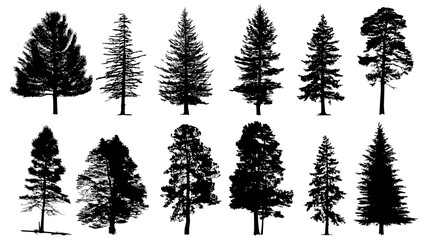 Pine tree silhouette set simple silhouette vector isolated on white background  -  