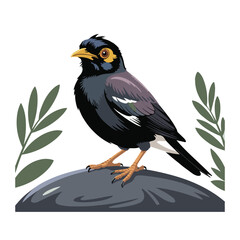 A black and brown myna bird with a yellow beak and eye patch stands on a gray rock, flanked by green leaves.