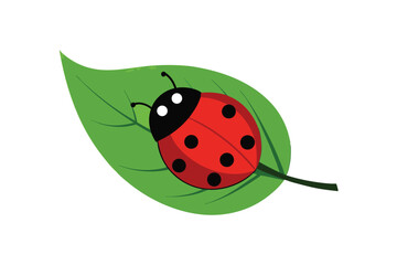 Ladybug on Leaf 