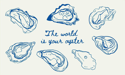 Minimalist hand drawn oyster illustration. Vector of oysters in doodle style.