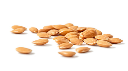 Almond Seeds Natural Snack Seeds 