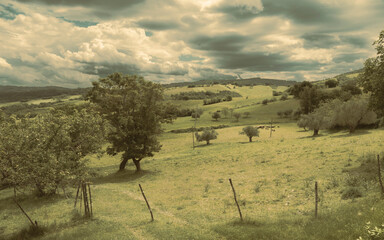 Beautiful countryside landscape, sheep pasture
