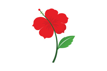 Red Hibiscus Tropical Plant 