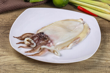 Raw fresh cuttlefish for cooking