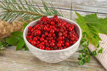Natural organic wild forwst lingonberry