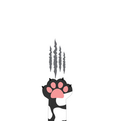 Scratching cat paw, funny pet scene, modern and minimal, perfect for animal care and decor themes