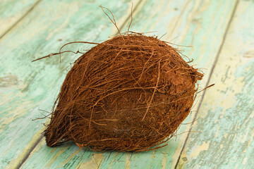 Tropical exotic brown haired coconut