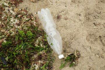 Obraz premium A plastic bottle on the beach in the sand and seaweed, which was thrown out of the sea by a storm. It spoils the ecology!