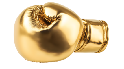  Golden Boxing Glove