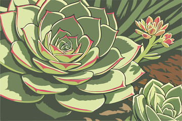 3 intricate, detailed, high resolution, macro shot, beautiful succulent plant, vibrant colors, intricate petals, close-up, lush foliage, stunning contrast, natural lighting, green tones, succulent pho