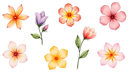 Obraz premium set of flowers vector illustration