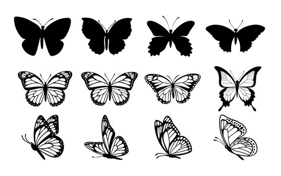 A clean vector set of butterfly butterfly silhouettes in various poses on a clean white background vector style