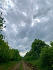 Obraz premium Dramatic cloudy sky over a rural dirt road with green trees and grass on both sides. Countryside landscape before rain. Spring or early summer nature scene, vertical composition.