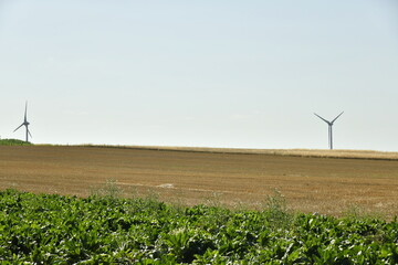 Éoliennes derrière une crête de colline dénudée à Ghislenghien (Ath) 