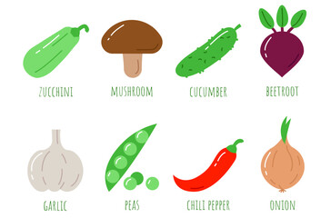 Vegetables, ingredient. Simple style, flat icons set. Zucchini, mushroom, cucumber, beetroot. Garlic, peas, chili pepper, onion, beans. Ingredients set collection. Vector illustration
