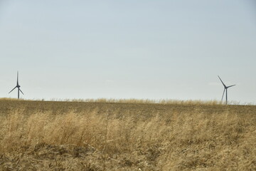 Éoliennes derrière un champ de paille à Ghislenghien (Ath) 