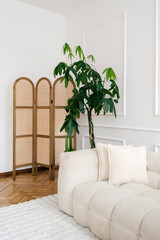 Modern white interior design with cozy couch and decorative plant