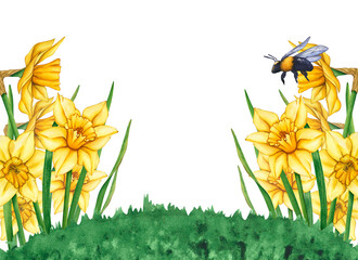 Yellow watercolor flowers and bumblebee. Watercolor illustration of a meadow with flowers and flying bees. Flower meadow on a summer day. Frame of flowers and bees