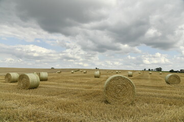 Ballots de paille sur un champ sous les nuages gris &agrave; Hellebecq (Silly)