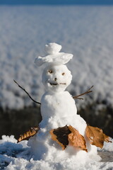 snowman on snow
